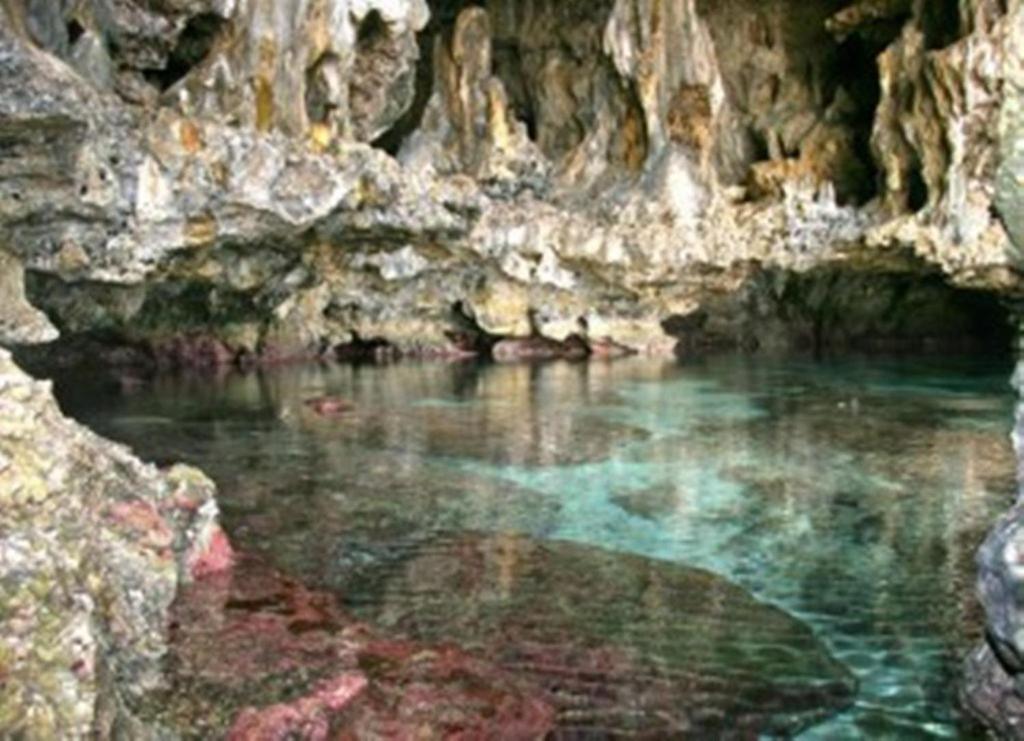 Scenic Matavai Resort Niue Tamakautoga Exterior foto